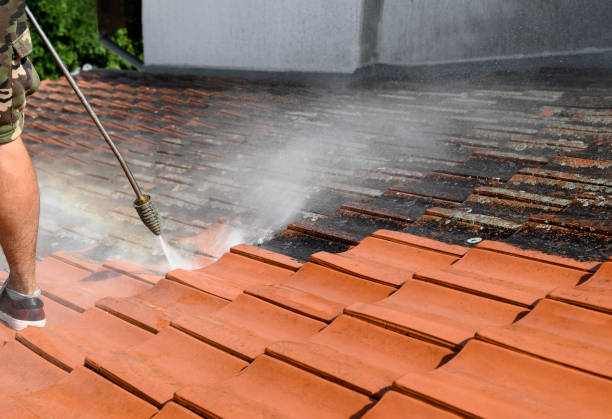 Best Pressure Washing Company Near Me  in Manson, IA
